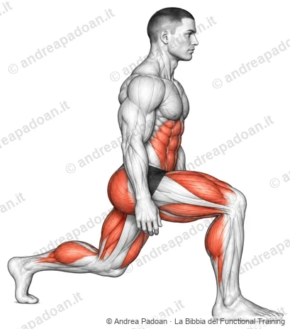 Affondo in camminata (walking lunge)