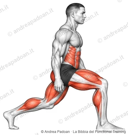 Affondo indietro (reverse lunge)
