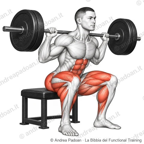 Box squat
