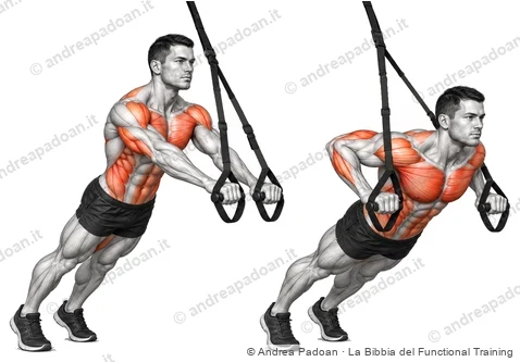 Chest press in sospensione