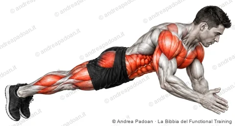Piegamento con stacco delle mani (clap push-up)