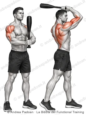 Clubbell e mace (swing, mill, swipe)