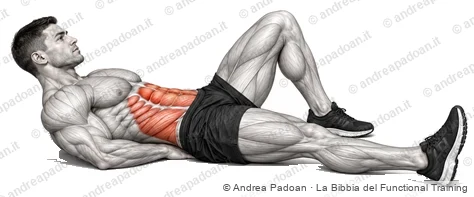 Curl-up di McGill