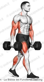 Farmer walk (camminata del contadino)