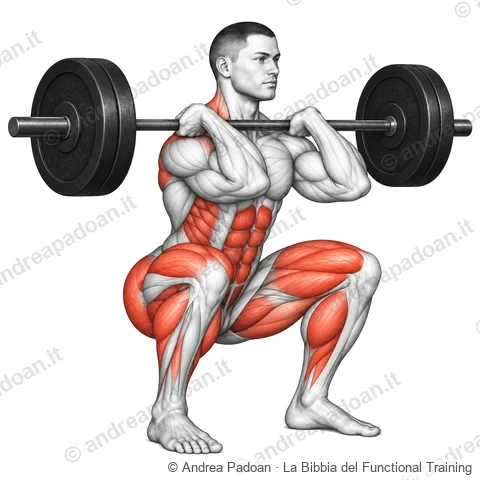 Front squat