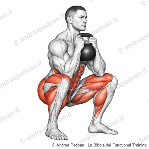 Goblet squat