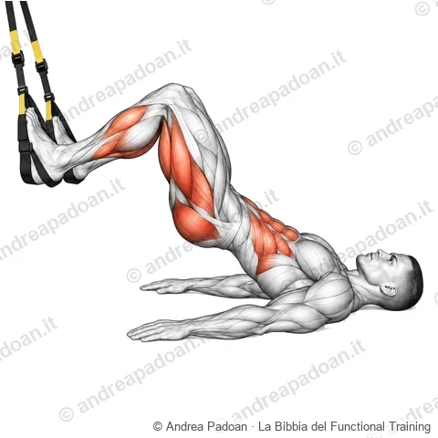 Hamstring curl in sospensione