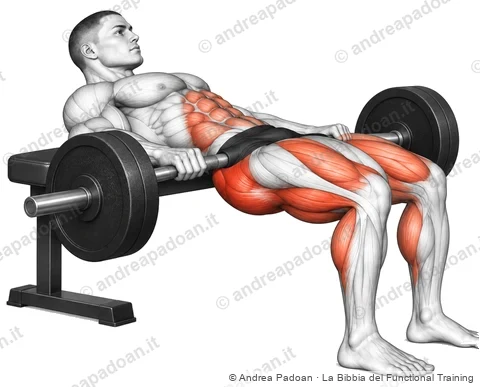 Hip thrust