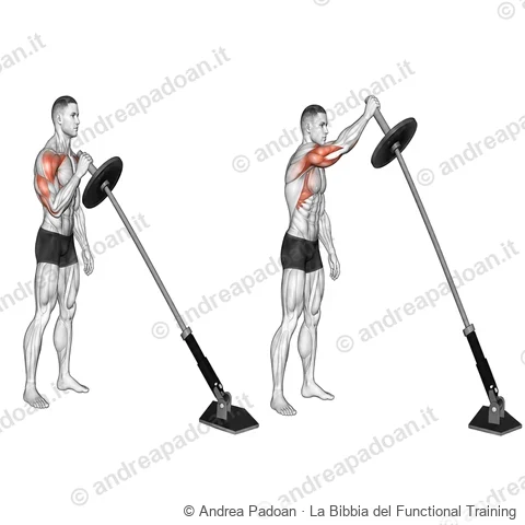 Landmine press