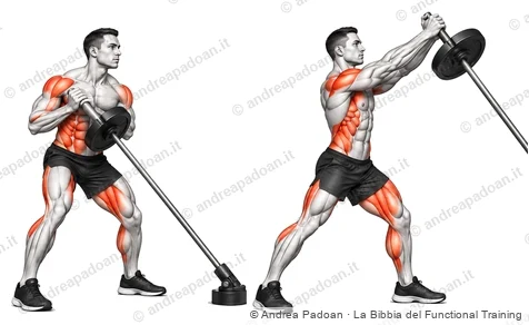 Landmine rotation (twist)