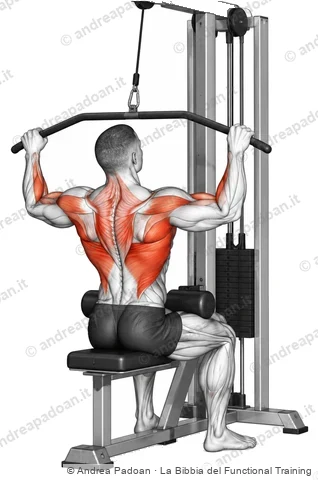 Lat machine (lat pulldown)