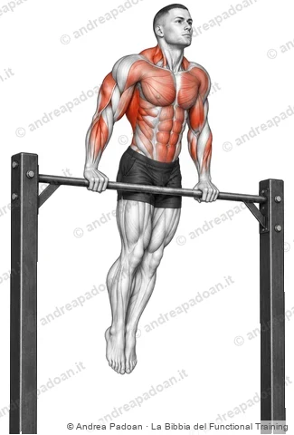 Muscle-up