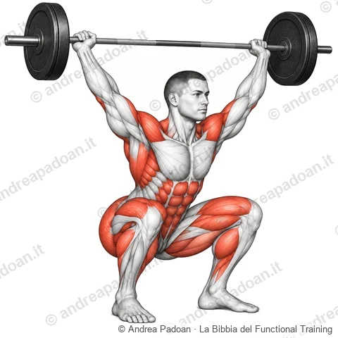 Overhead squat