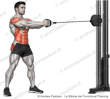 Pallof press