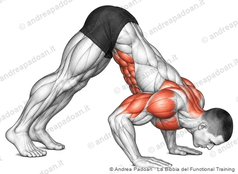 Pike push-up