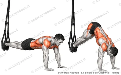 Pike e knee tuck in sospensione