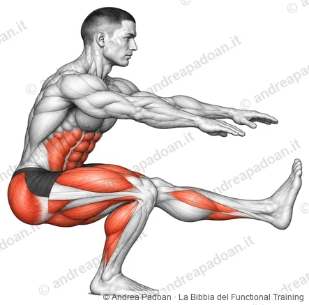 Pistol squat