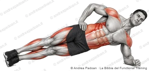 Plank laterale (side plank)