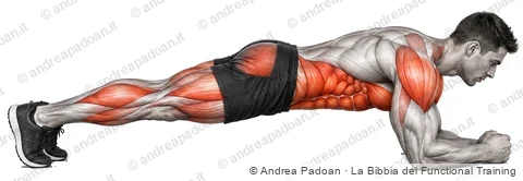 Plank