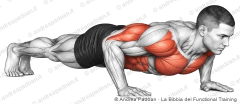 Piegamento a terra (push-up)