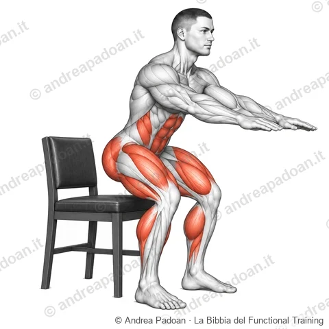 Sit-to-stand (alzarsi dalla sedia)
