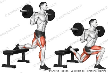 Split squat bulgaro
