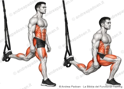 Split squat con piede posteriore nella cinghia