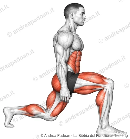 Split squat