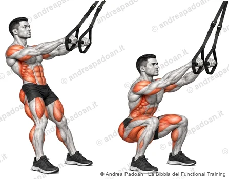 Squat e affondo assistiti con le cinghie