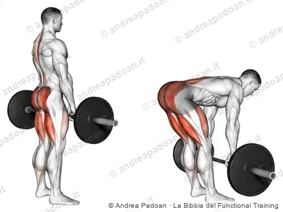 Stacco a gambe tese (stiff-leg)