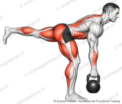Stacco rumeno a una gamba (single-leg RDL)