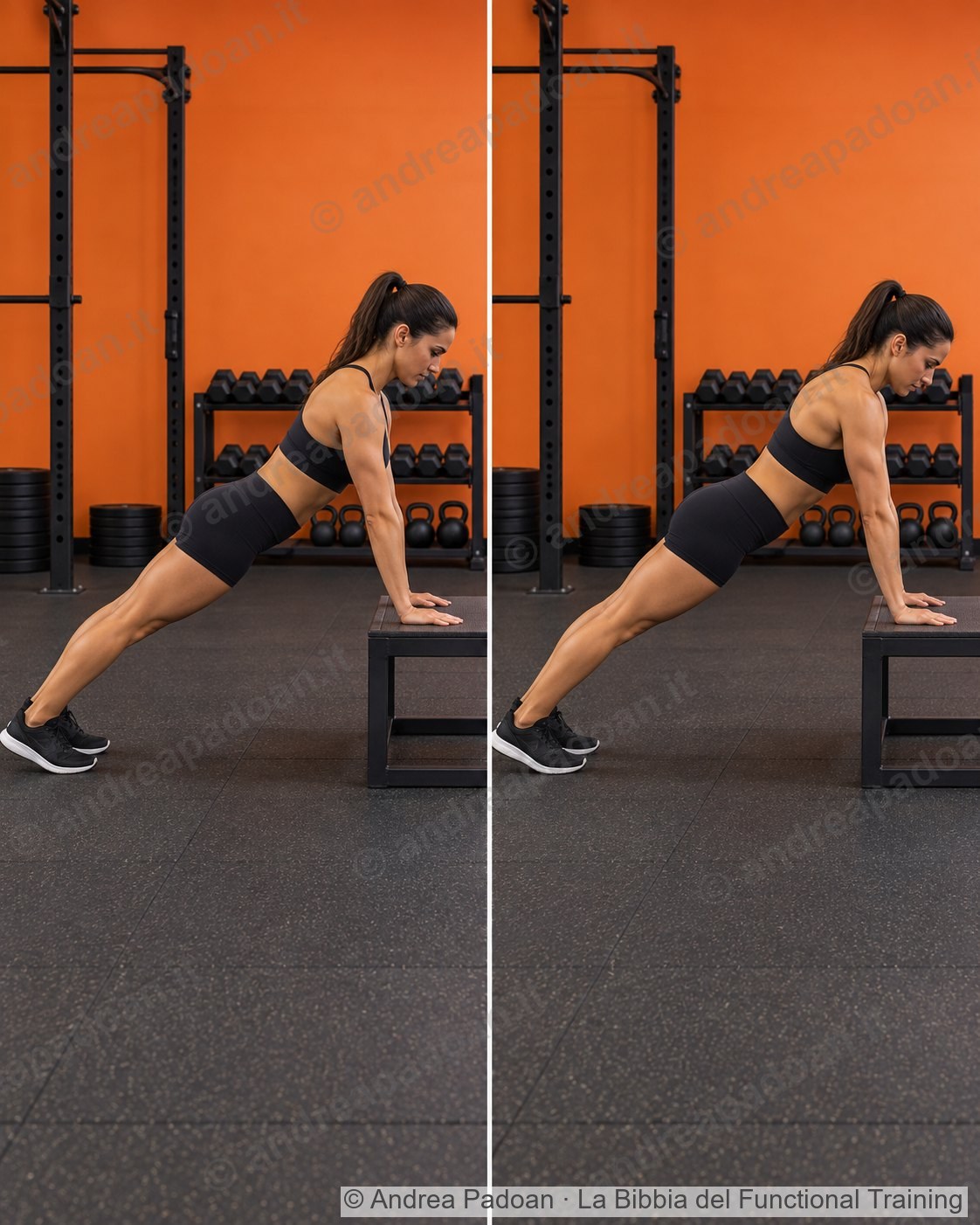 Push-up plus su un rialzo
