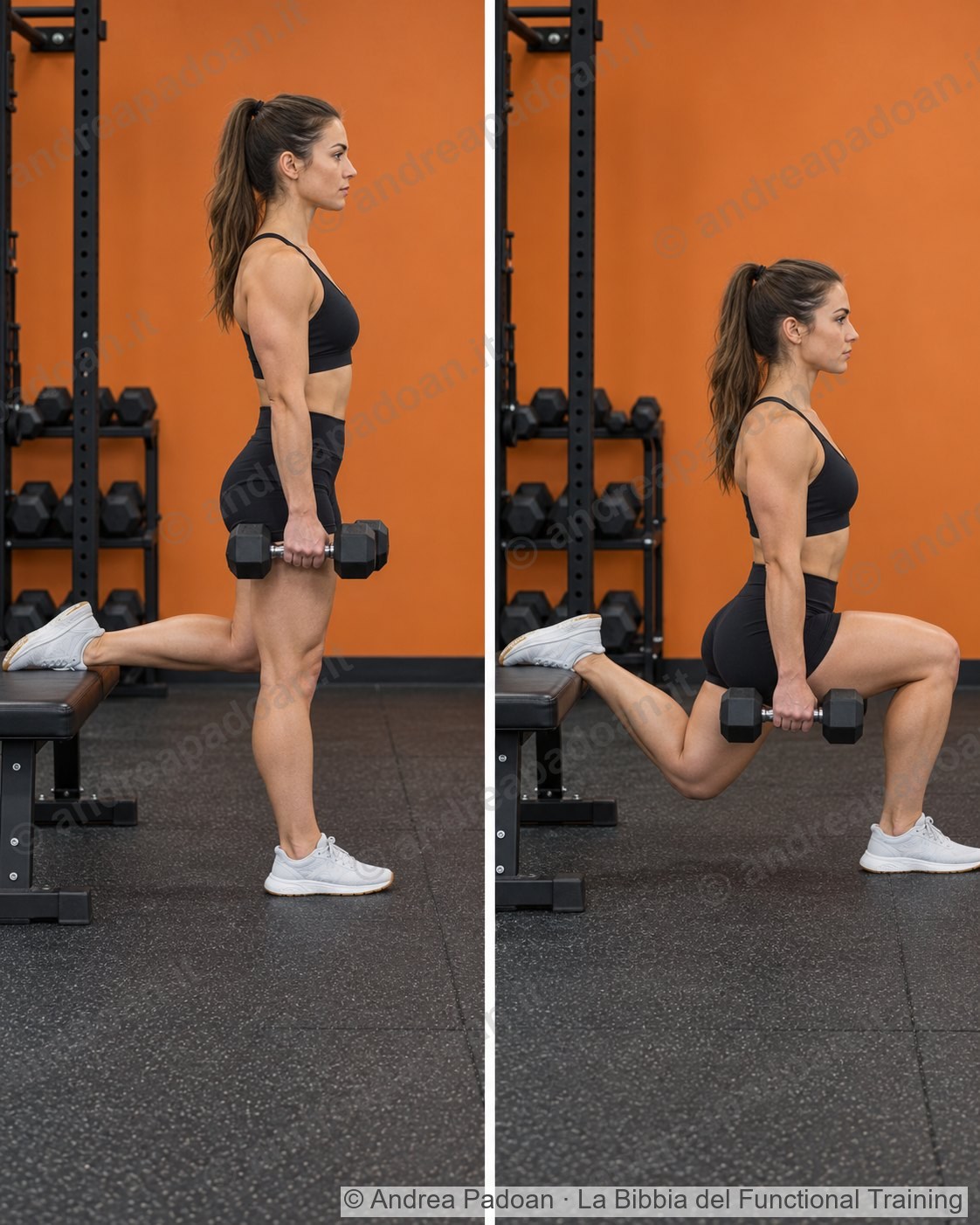 Split squat bulgaro